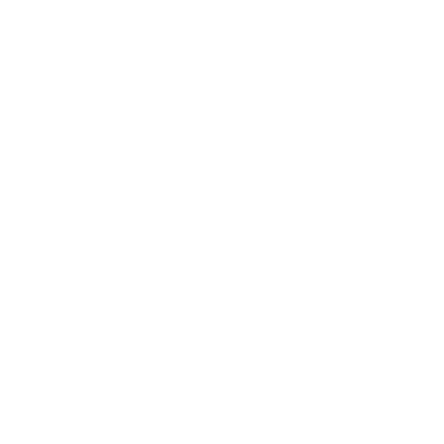 Phone Animation